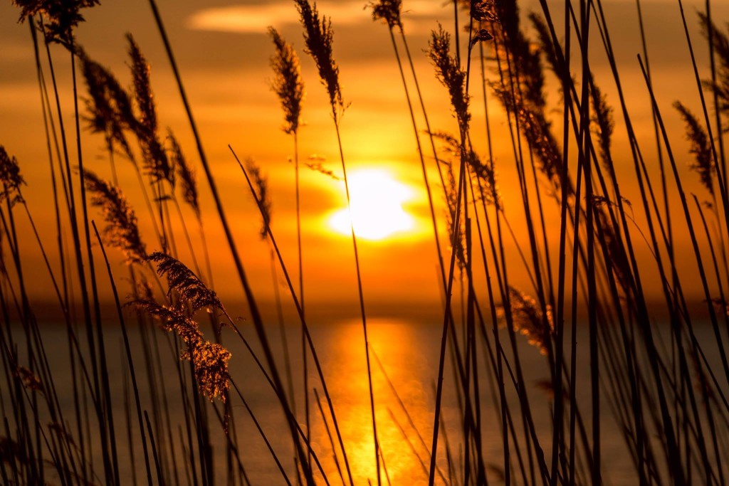 Barnegat Bay Sunset from Barnegat Light NJ