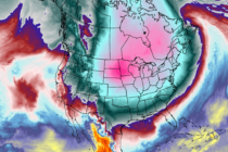 Snowstorm Recap and a Look Ahead